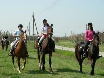 Agriturismo La Riccardina بودريو المظهر الخارجي الصورة